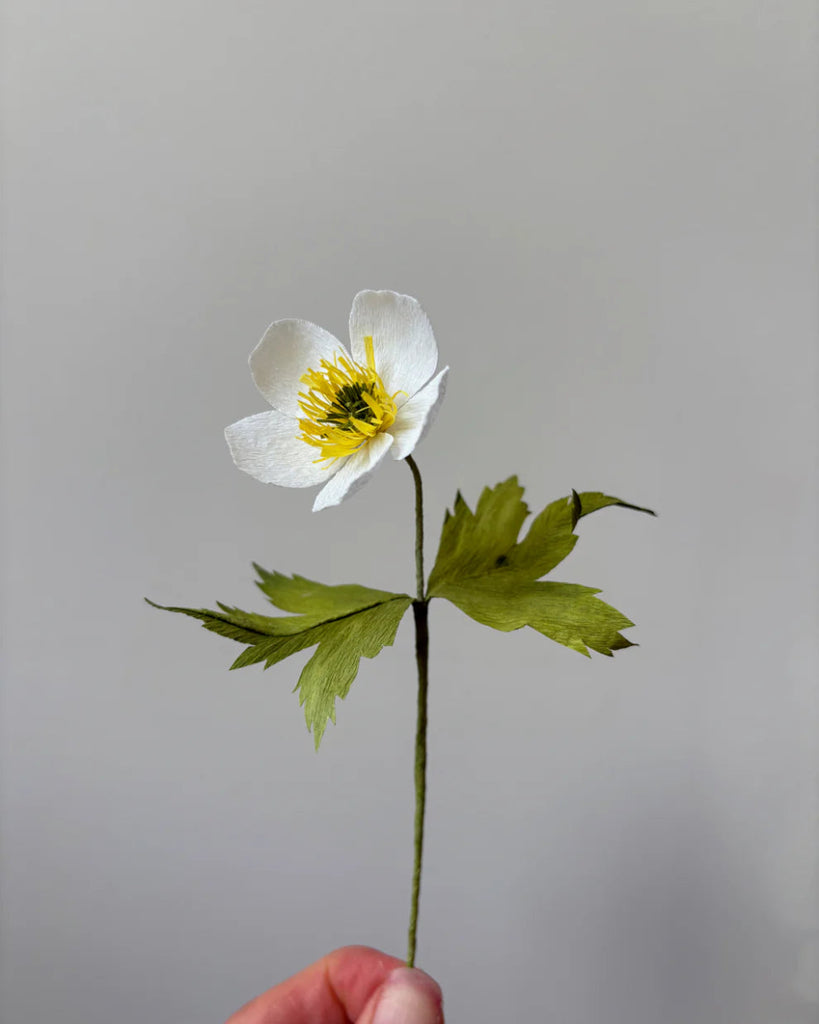 Atelier Nature Morte Craft Kits (Various Styles) - Victoire BoutiqueAtelier Nature MorteGifts Ottawa Boutique Shopping Clothing