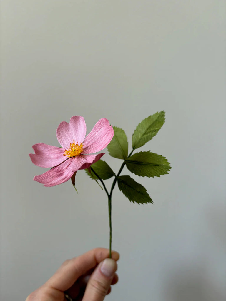 Atelier Nature Morte Craft Kits (Various Styles) - Victoire BoutiqueAtelier Nature MorteGifts Ottawa Boutique Shopping Clothing