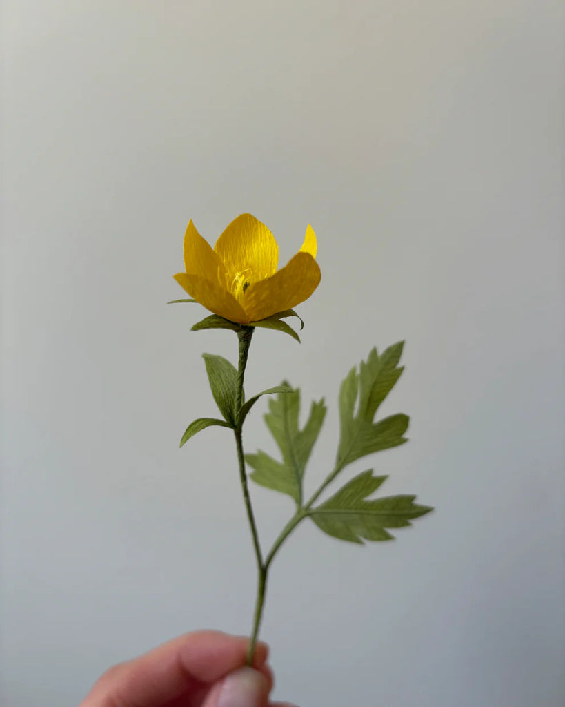 Atelier Nature Morte Craft Kits (Various Styles) - Victoire BoutiqueAtelier Nature MorteGifts Ottawa Boutique Shopping Clothing