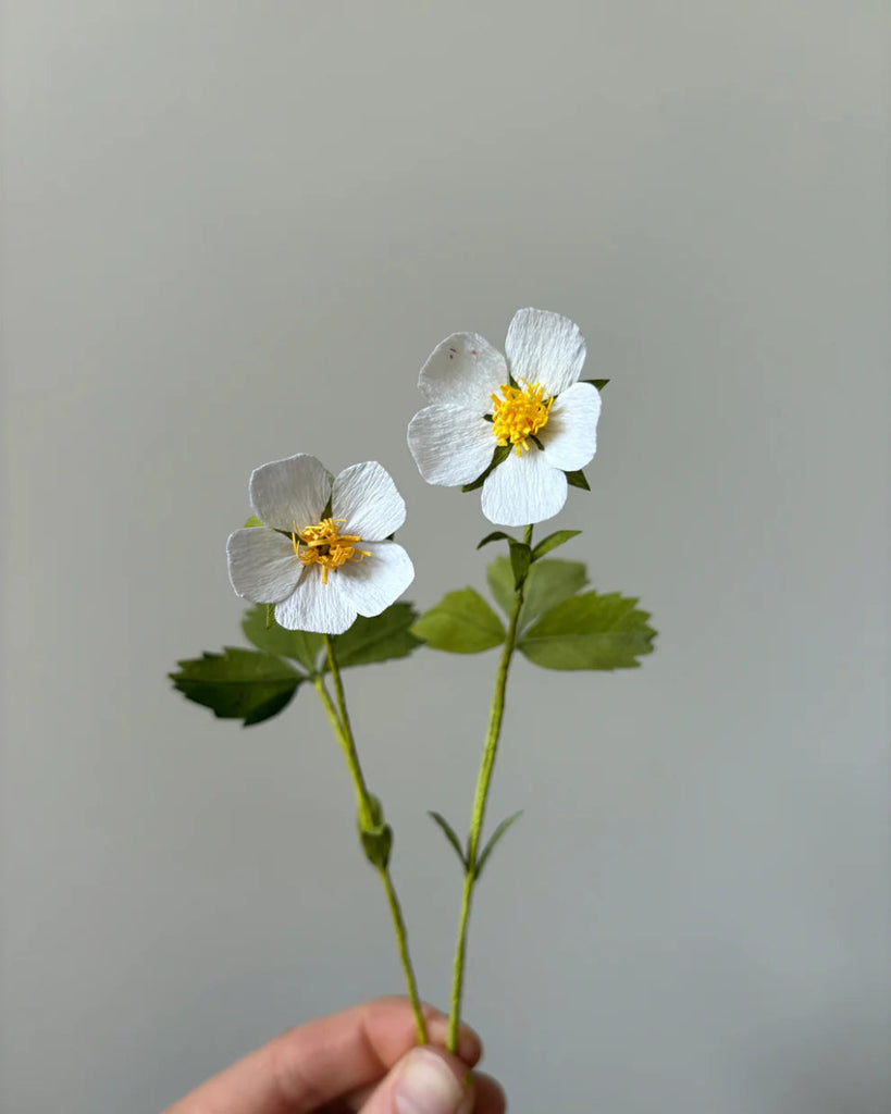 Atelier Nature Morte Craft Kits (Various Styles) - Victoire BoutiqueAtelier Nature MorteGifts Ottawa Boutique Shopping Clothing