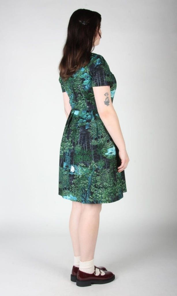 Birds of North America Buttonquail Dress (Sleepwalker) - Victoire BoutiqueBirds of North AmericaDresses Ottawa Boutique Shopping Clothing