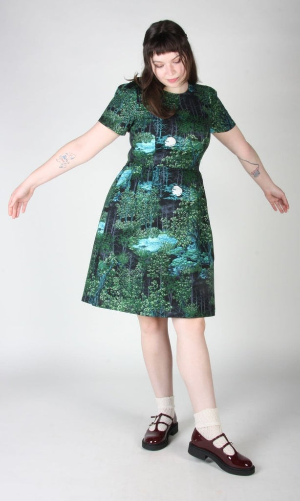Birds of North America Buttonquail Dress (Sleepwalker) - Victoire BoutiqueBirds of North AmericaDresses Ottawa Boutique Shopping Clothing