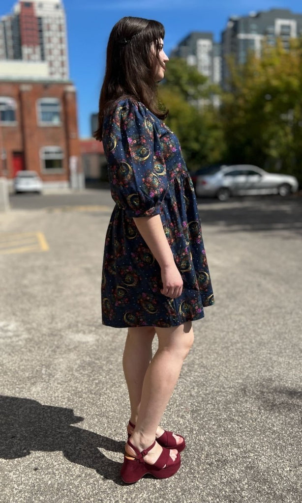 Birds of North America Cinnamon Bittern (Night Owls) - Victoire BoutiqueBirds of North AmericaDresses Ottawa Boutique Shopping Clothing