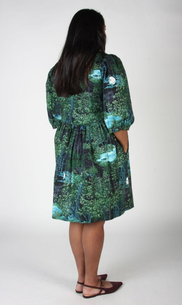 Birds of North America Cinnamon Bittern (Sleepwalker) - Victoire BoutiqueBirds of North AmericaDresses Ottawa Boutique Shopping Clothing