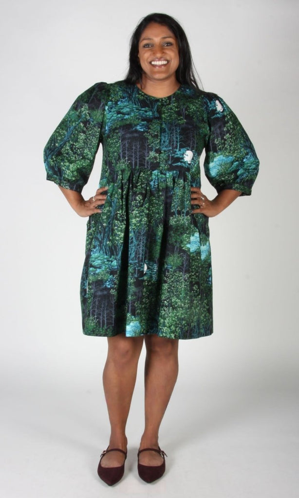 Birds of North America Cinnamon Bittern (Sleepwalker) - Victoire BoutiqueBirds of North AmericaDresses Ottawa Boutique Shopping Clothing