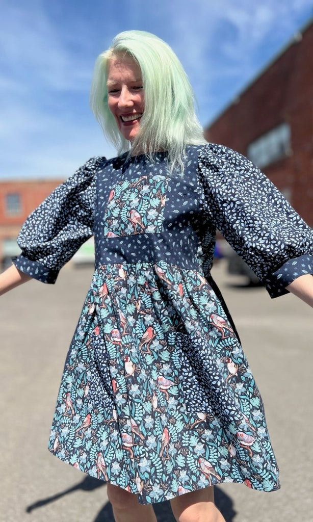 Birds of North America Fairywren Dress (Nest Friends) - Victoire BoutiqueBirds of North AmericaDresses Ottawa Boutique Shopping Clothing