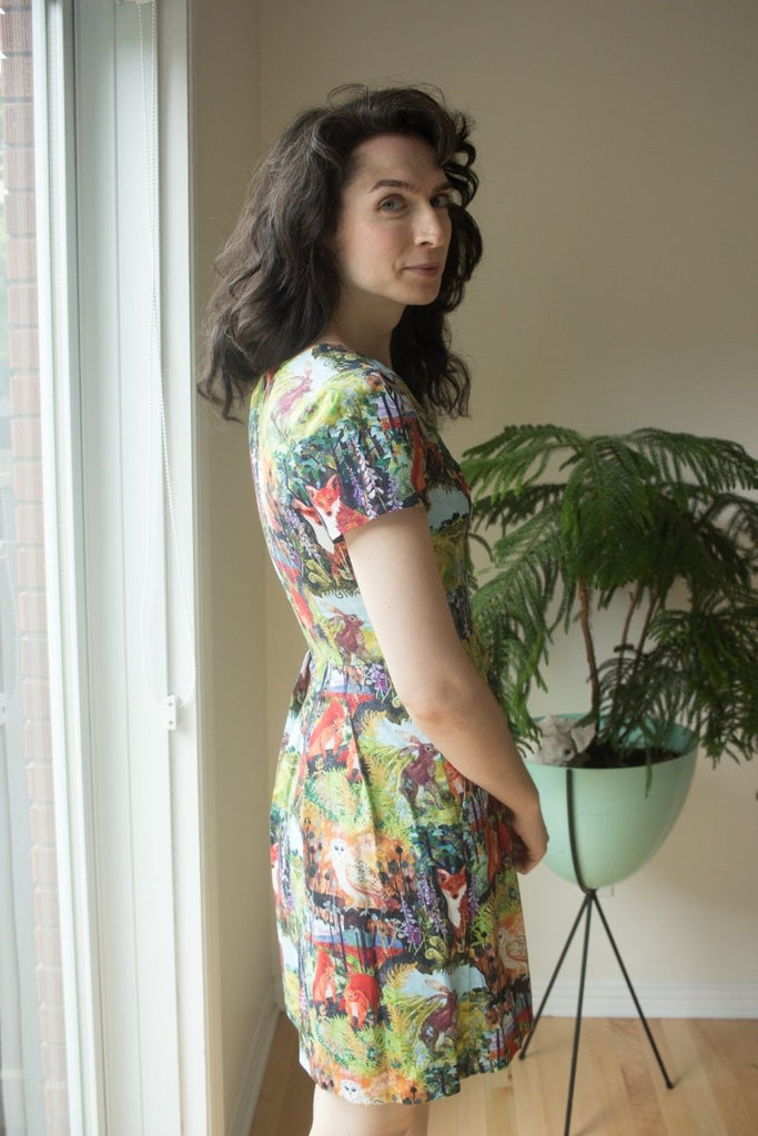 Birds of North America Fruit Dove Dress (Hedgerow) - Victoire BoutiqueBirds of North AmericaDresses Ottawa Boutique Shopping Clothing