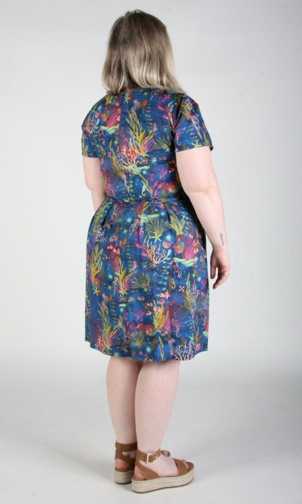 Birds of North America Fruit Dove Dress (Undersea Gardens) - Victoire BoutiqueBirds of North AmericaDresses Ottawa Boutique Shopping Clothing