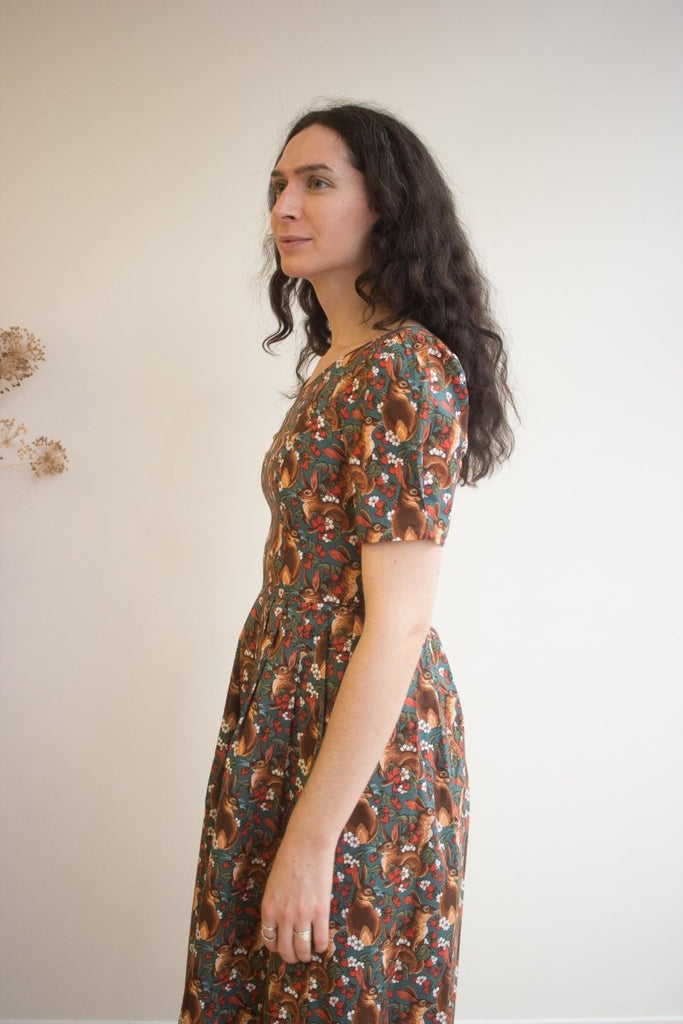 Birds of North America Winter Chippy Dress (Hare Berry) - Victoire BoutiqueBirds of North AmericaDresses Ottawa Boutique Shopping Clothing