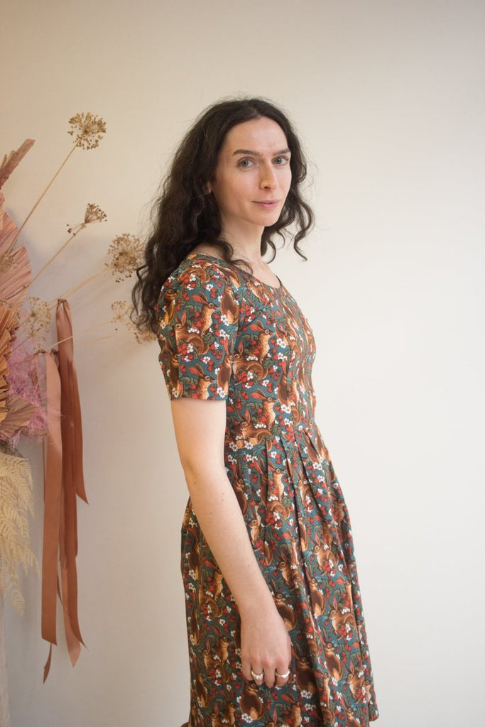 Birds of North America Winter Chippy Dress (Hare Berry) - Victoire BoutiqueBirds of North AmericaDresses Ottawa Boutique Shopping Clothing