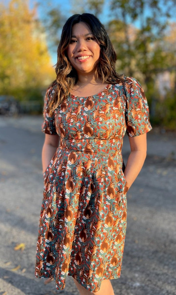 Birds of North America Winter Chippy Dress (Hare Berry) - Victoire BoutiqueBirds of North AmericaDresses Ottawa Boutique Shopping Clothing