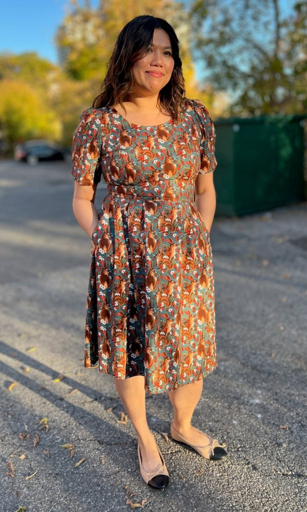 Birds of North America Winter Chippy Dress (Hare Berry) - Victoire BoutiqueBirds of North AmericaDresses Ottawa Boutique Shopping Clothing