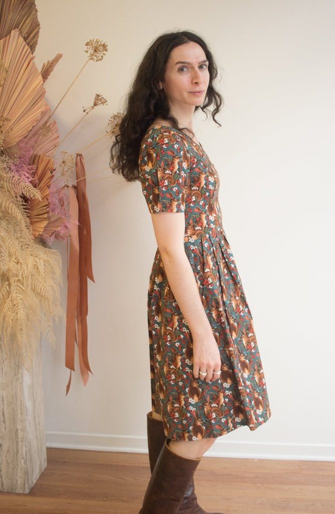 Birds of North America Winter Chippy Dress (Hare Berry) - Victoire BoutiqueBirds of North AmericaDresses Ottawa Boutique Shopping Clothing