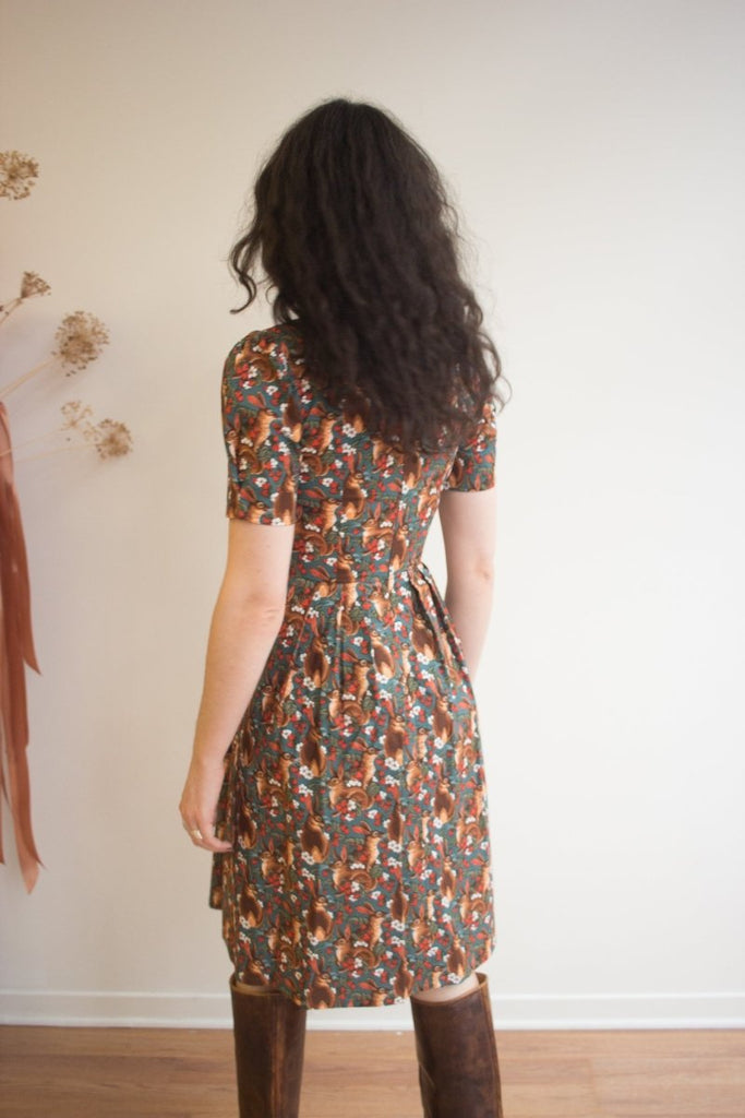 Birds of North America Winter Chippy Dress (Hare Berry) - Victoire BoutiqueBirds of North AmericaDresses Ottawa Boutique Shopping Clothing