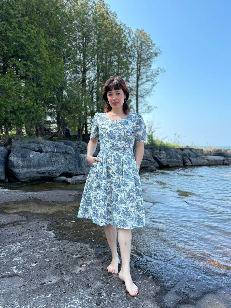 Birds of North America Winter Chippy Dress (Navy Village Toile) - Victoire BoutiqueBirds of North AmericaDresses Ottawa Boutique Shopping Clothing