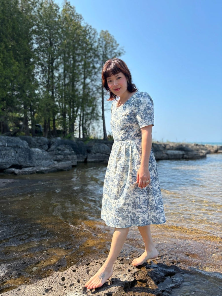 Birds of North America Winter Chippy Dress (Navy Village Toile) - Victoire BoutiqueBirds of North AmericaDresses Ottawa Boutique Shopping Clothing