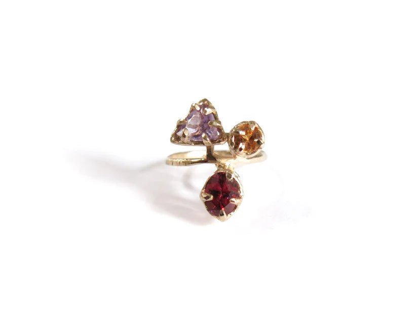 Elaine Ho 14K Gold Ring (Amethyst, Spessartine Garnet & Garnet) - Victoire BoutiqueElaine HoRings Ottawa Boutique Shopping Clothing
