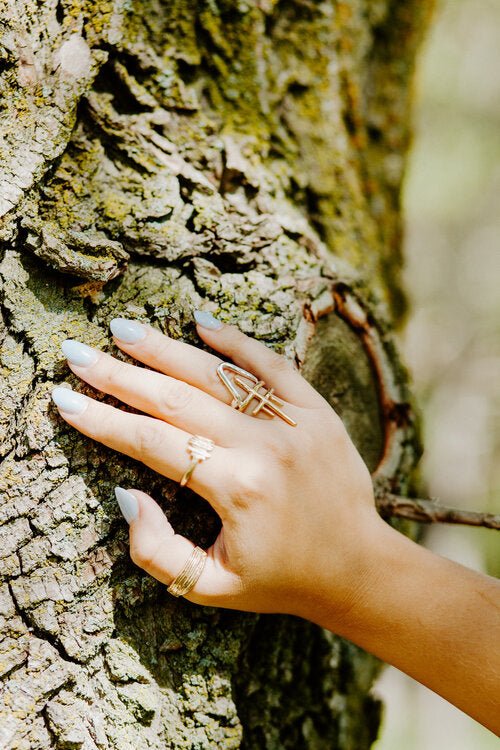 Hawkly Ascend Ring (Mixed Metal) - Victoire BoutiqueHawklyRings Ottawa Boutique Shopping Clothing