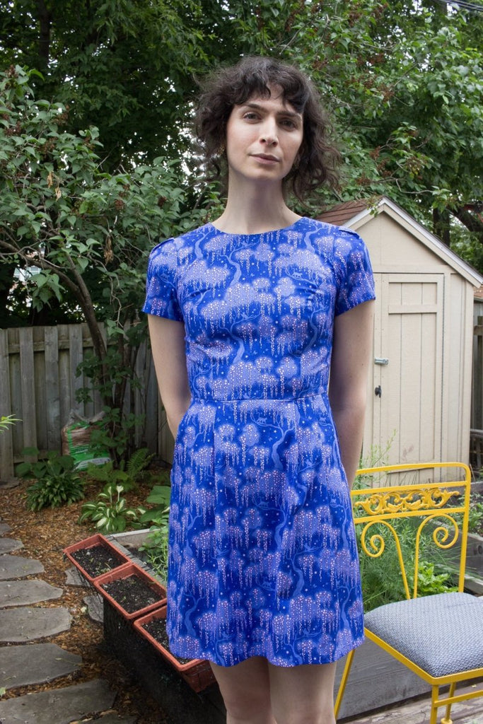 Birds of North America Engoulevent Dress (Cat Dreams) - Victoire BoutiqueBirds of North AmericaDresses Ottawa Boutique Shopping Clothing