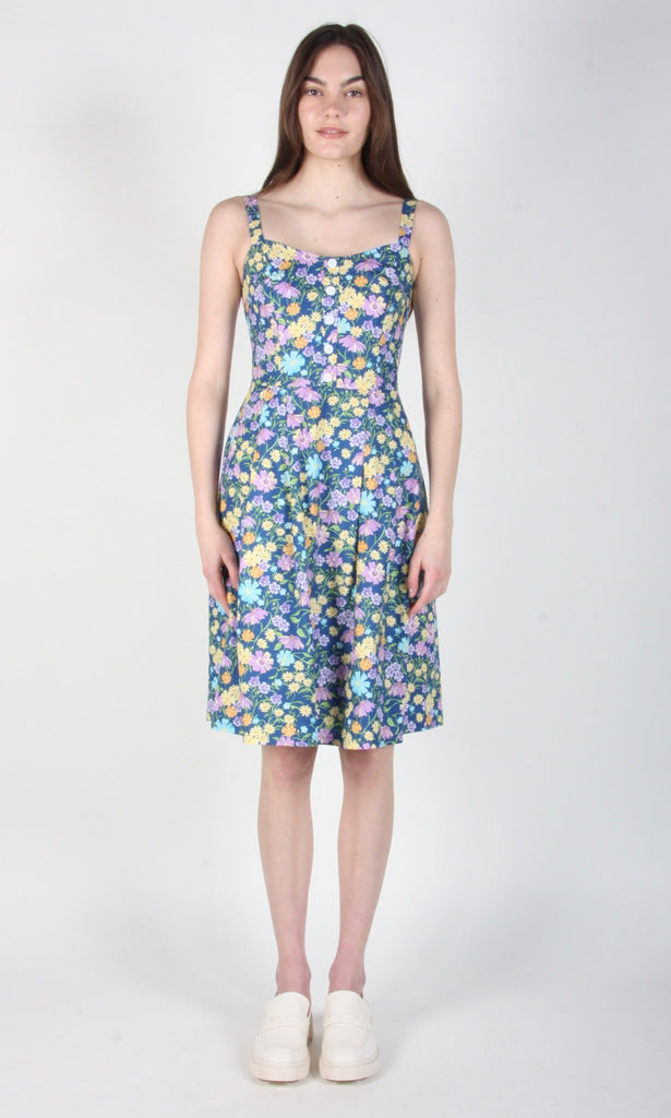 Birds of North America Grosbeak Dress - Blue Meadow (Online Exclusive) - Victoire BoutiqueBirds of North AmericaDresses Ottawa Boutique Shopping Clothing