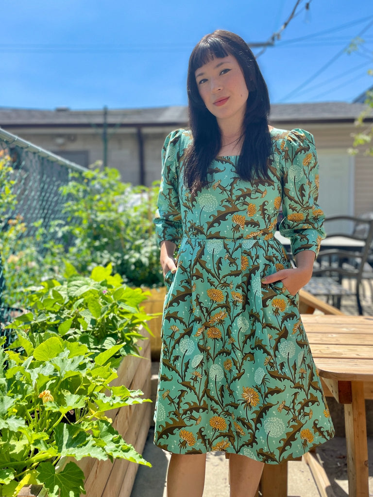 Birds of North America Helldiver Dress (Pissenlit) - Victoire BoutiqueBirds of North AmericaDresses Ottawa Boutique Shopping Clothing
